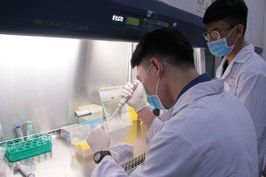 Xét nghiệm Sinh học phân tử (molecular biology)